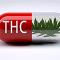 Cannabis und THC