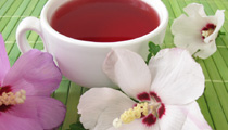 Hibiskustee