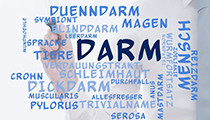 Schleimhautschutz